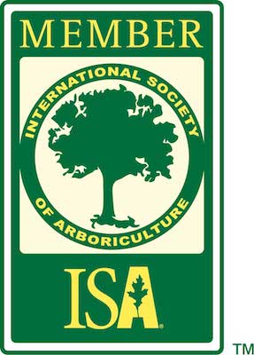 ISA logo