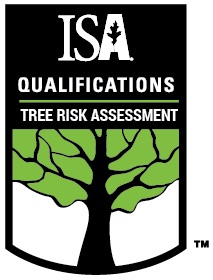 TRAQ Tree Inspection - The Tools We Use