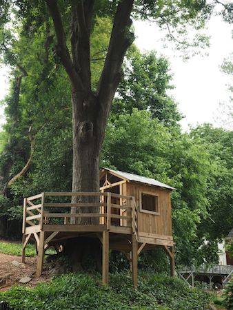 Treehouse